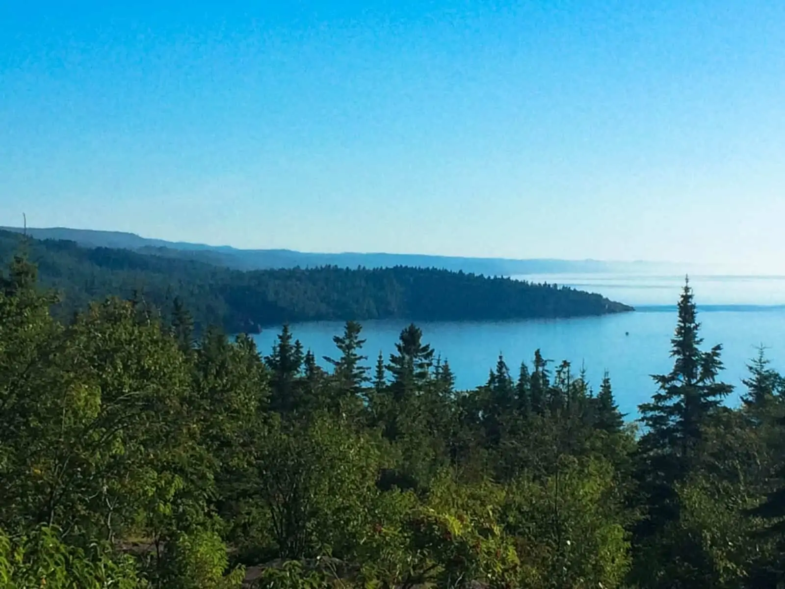 Palisade Head cove and forest.