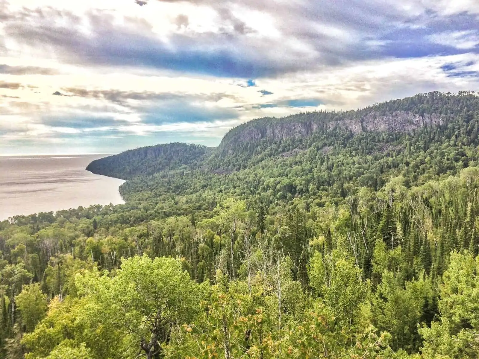 Susie Islands forest and coast.