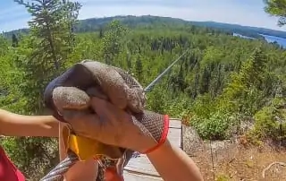 Close up of Person's gloves on a zipline.