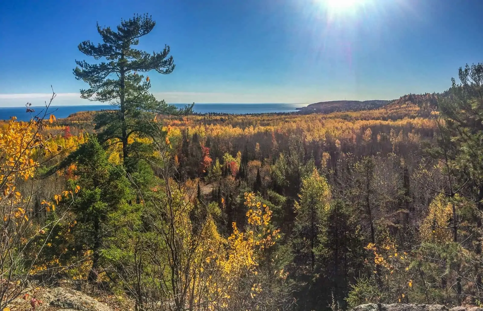 Wolf Rock Forest.