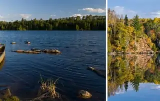 Superior National Forest