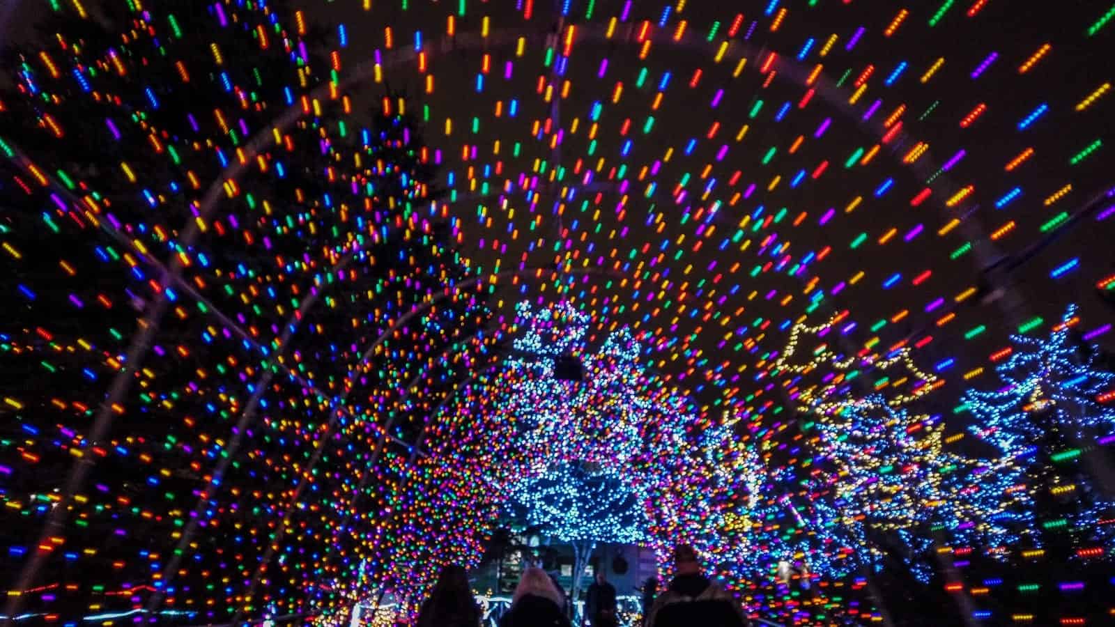 Donate – Bentleyville Tour of Lights