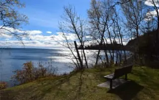 Cutface Creek bench.