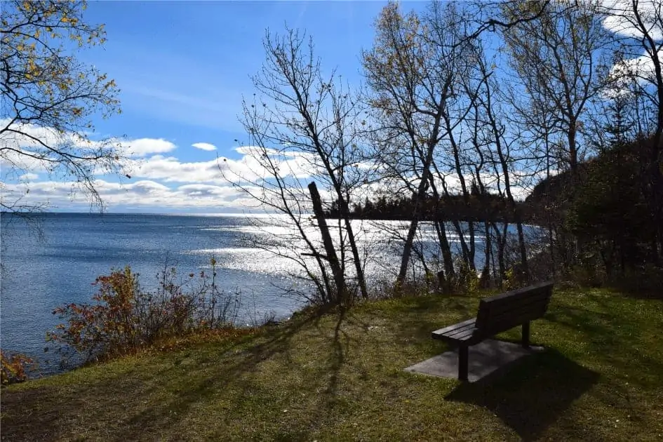 Cutface Creek bench.