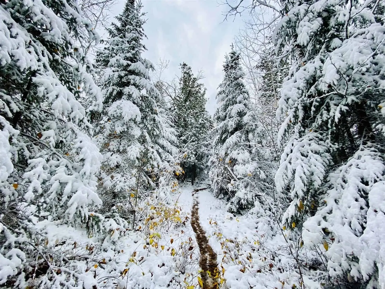 Winter Hiking trail.