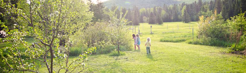 Children Playing Children playing in a backyard.