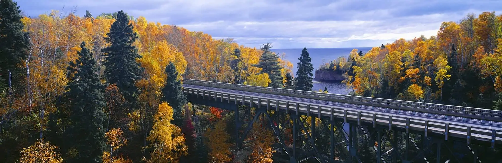 High bridge through a forest.