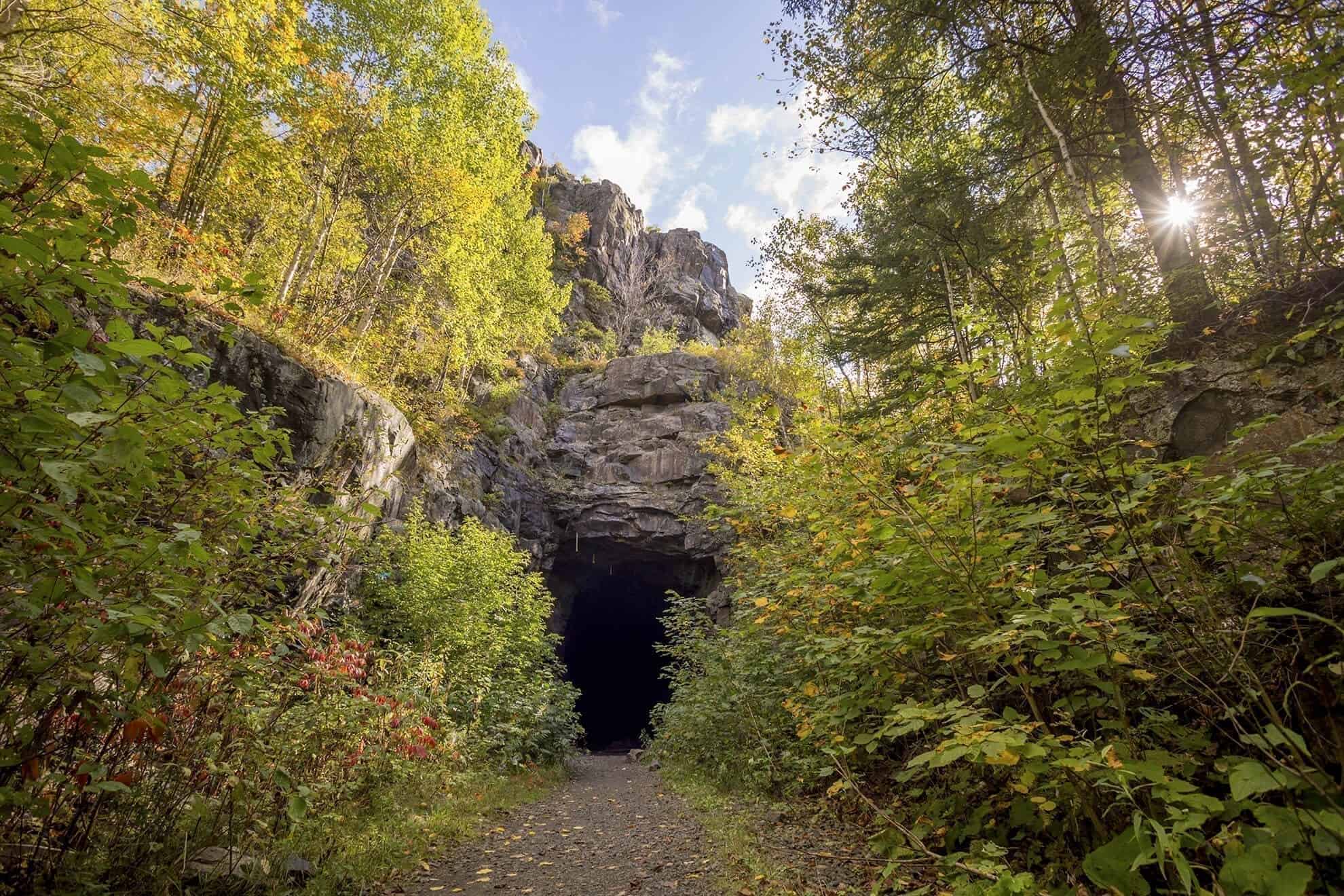 Trail tunnel.