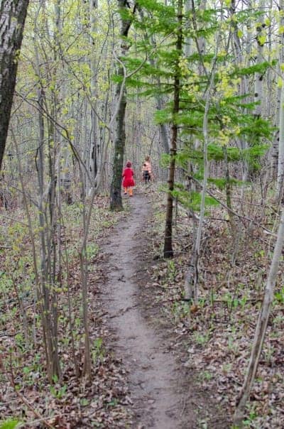 Guest Post: Best Ways to Preserve Nature While Hiking