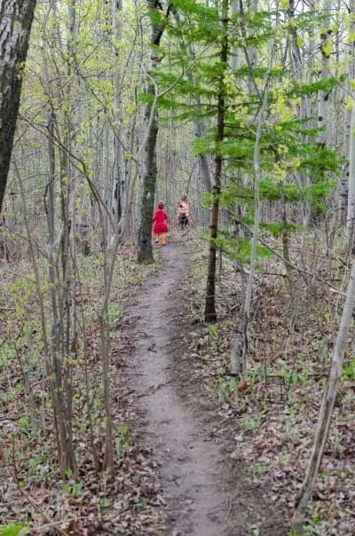 Guest Post: Best Ways to Preserve Nature While Hiking