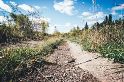 Curb in Taconite Harbor