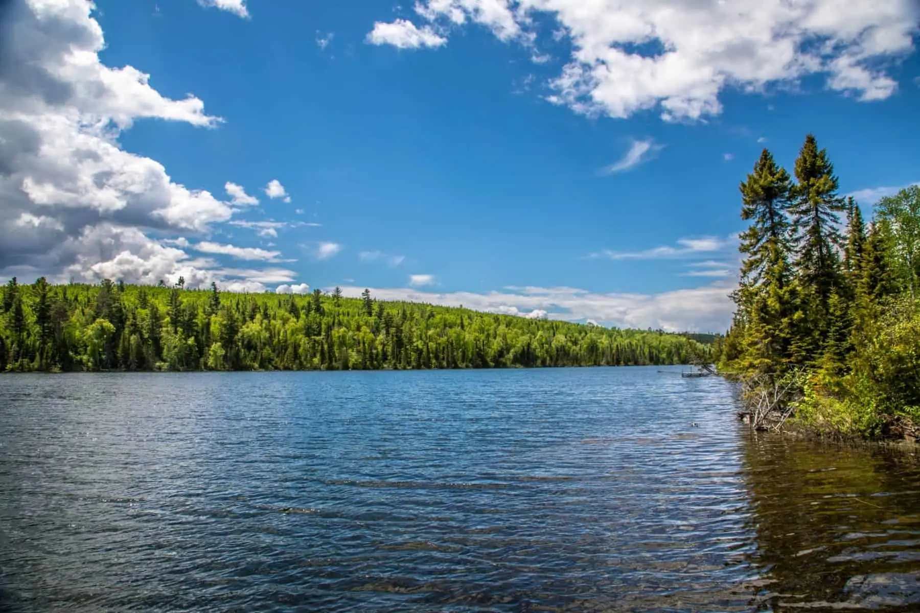 Birch Lake