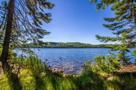 Loon Lake