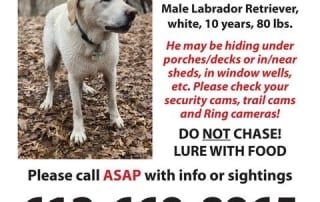 Missing Poster