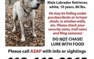Missing Poster