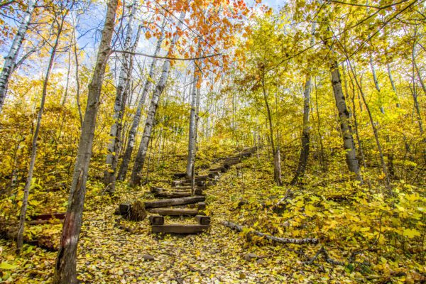 Late Fall at Magney-Snively Natural Area